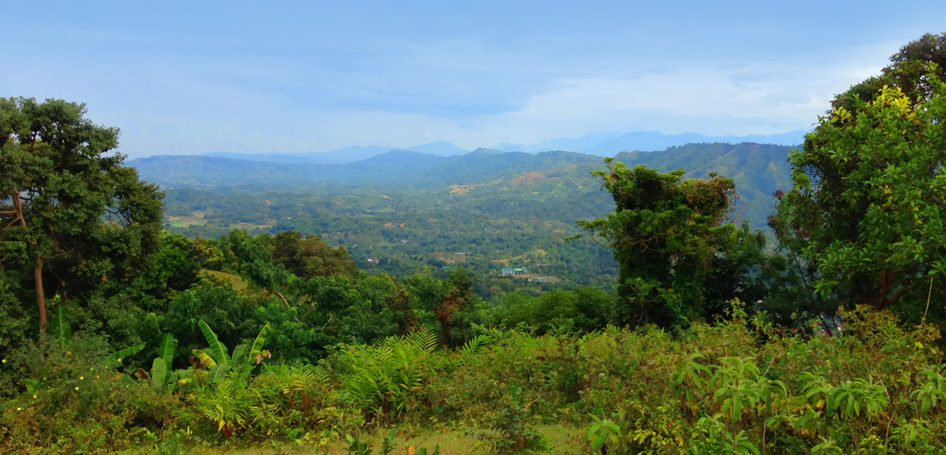 Happiness is a Choice