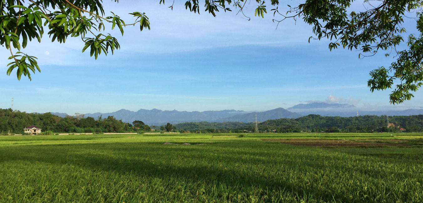 Signs of Negative Stage Parenting