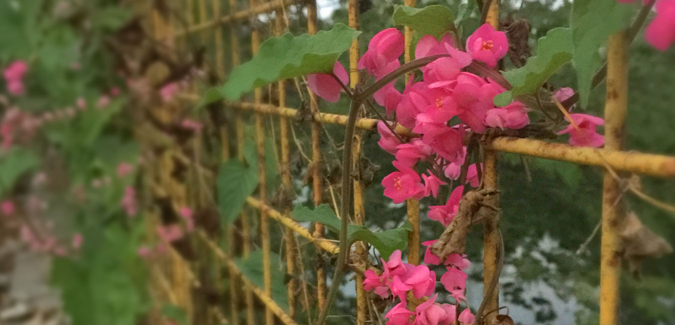 Why Support Group is Essential