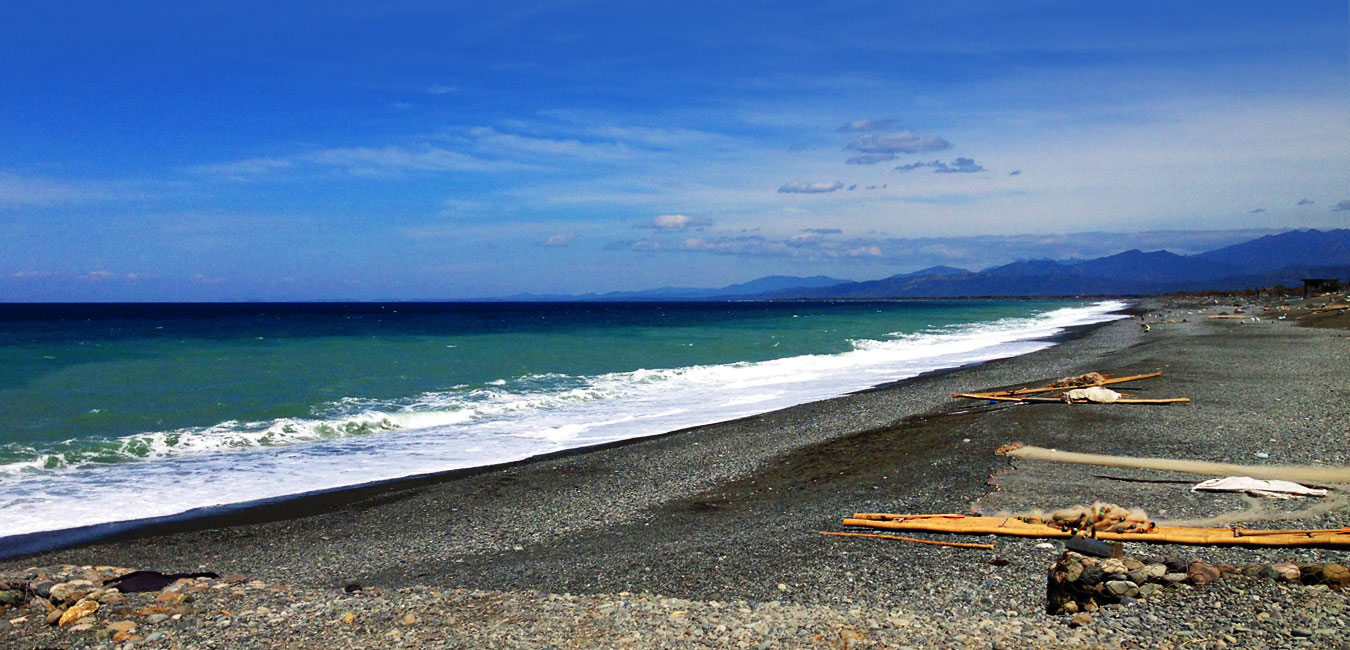 When Actions Speak Louder than Words