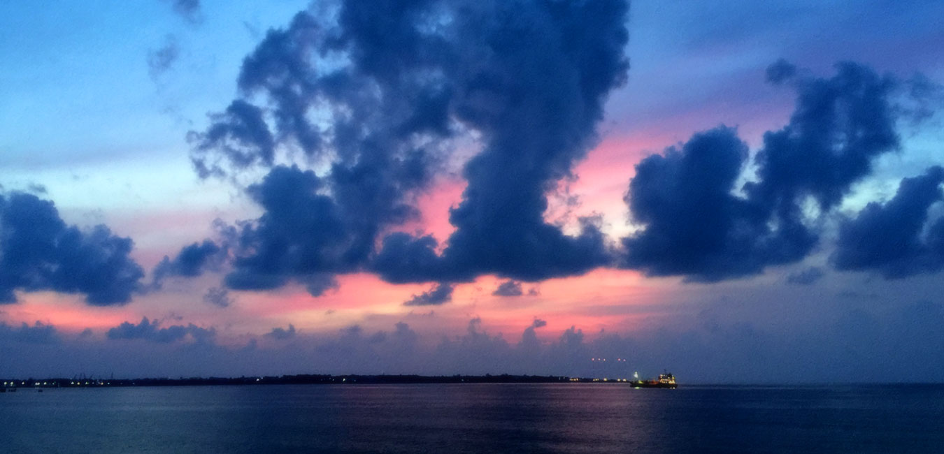 What we need to know about Negas