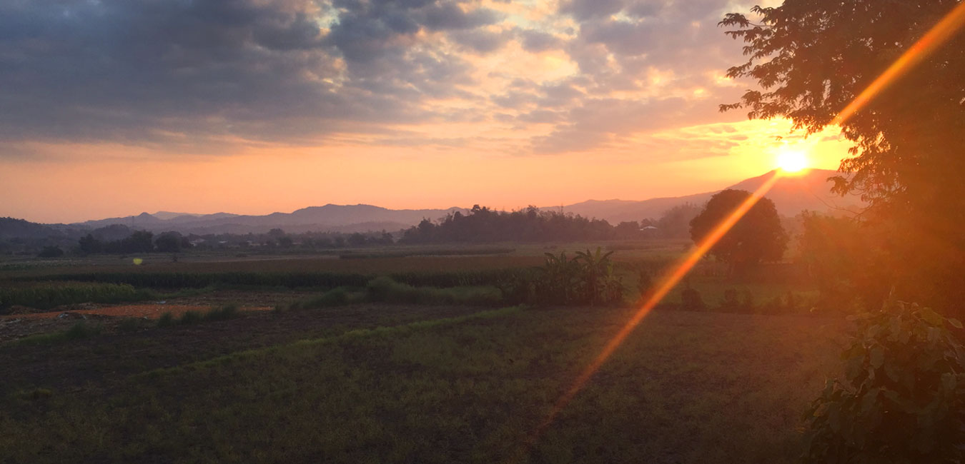 Being Guilt Free and Moving Forward